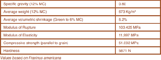 Physical & Mechanical Properties